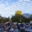 Oktoberfest_(13)_1.jpg