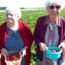 erdbeerfeld-ikb-06.jpg