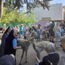 alpakas-08.jpg