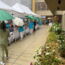 sommerfest-laupheim25-03.jpg