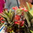 cocktailparty-cci-25-01.jpg