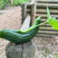 ausflug-kreismsgarten-25-05.jpg