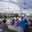 Sommerfest_(7)_0001.jpg